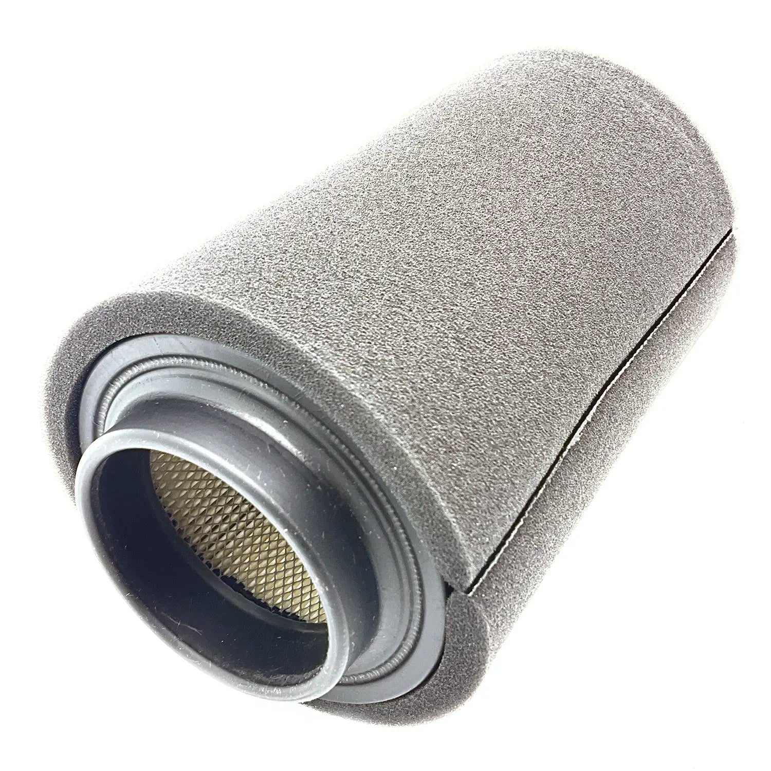 Polaris Air Filter Assembly #1253144