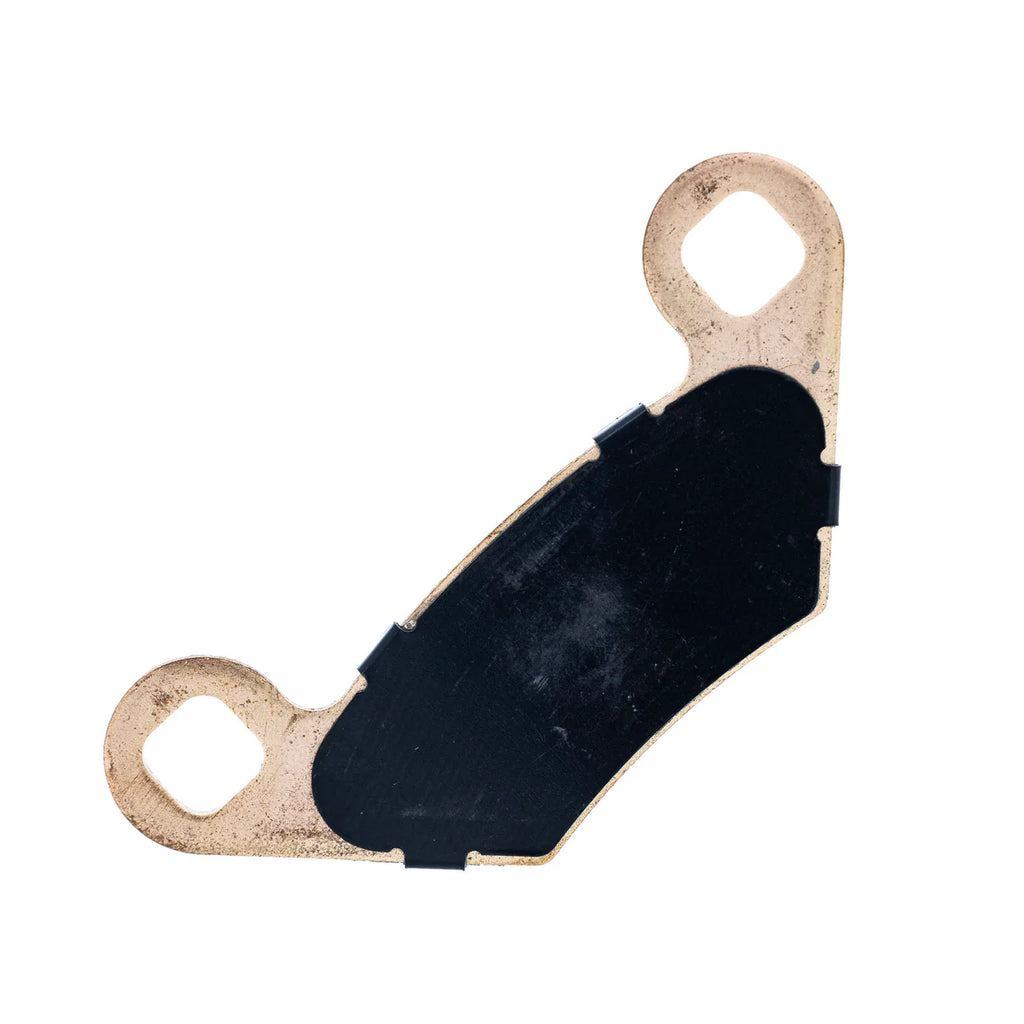 Polaris Brake Pad Kit #2203628