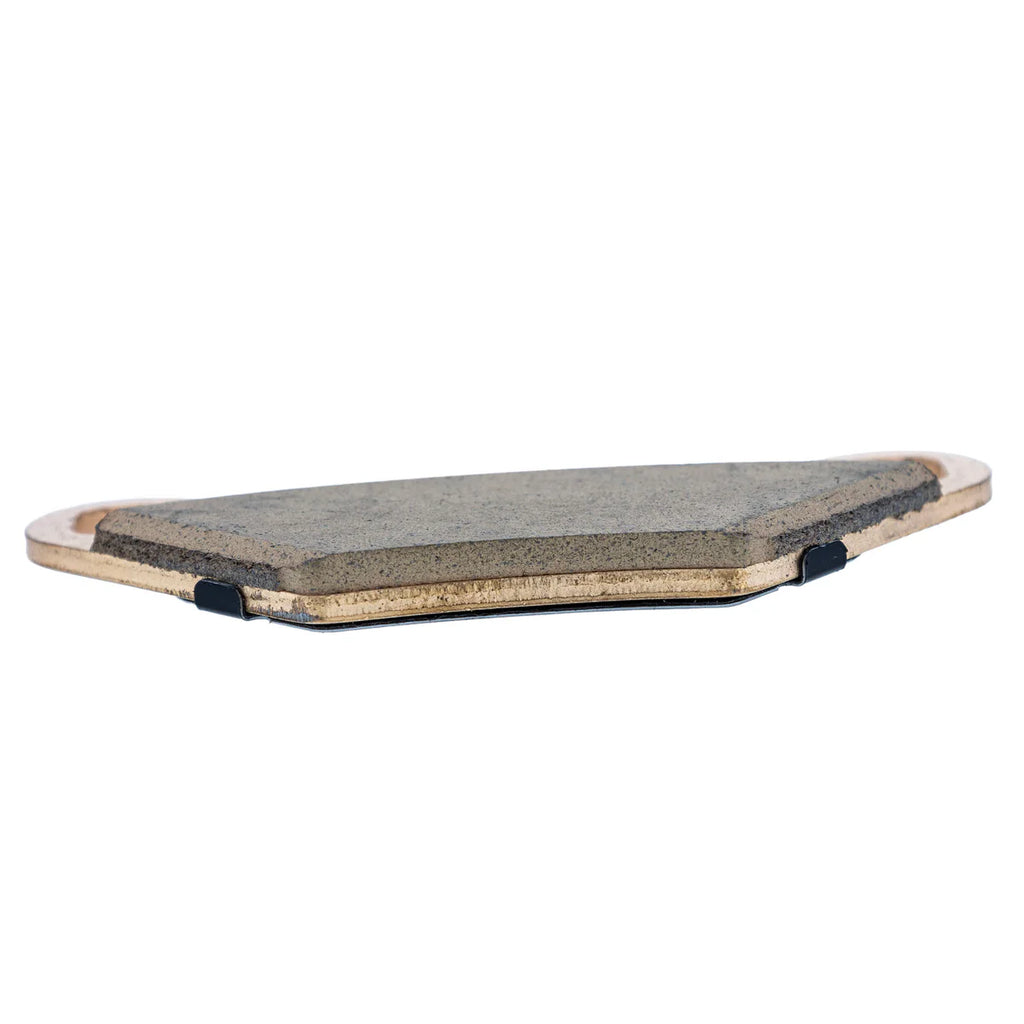 Polaris Brake Pad Kit #2203628