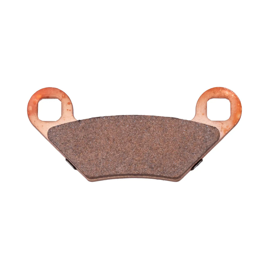 Polaris Rear Dual Input Brake Pads, #2204088