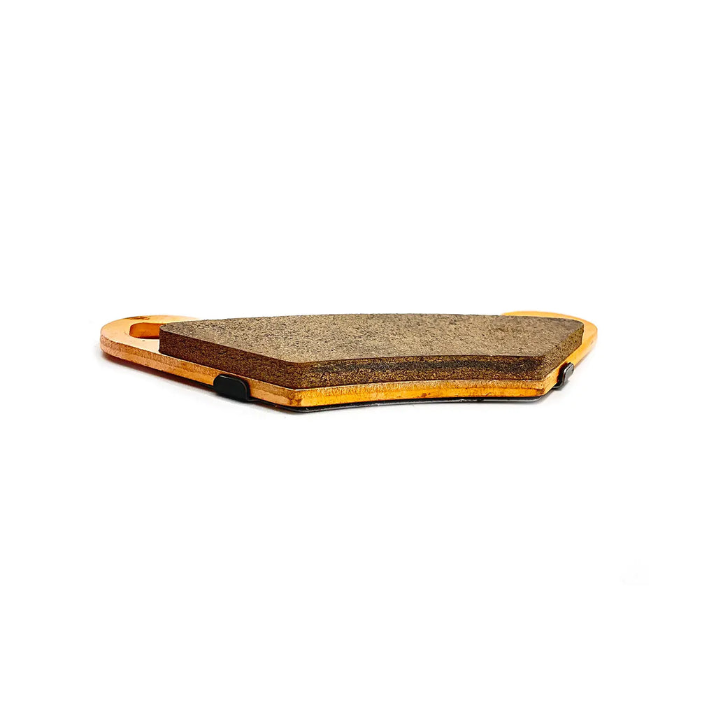 Polaris Rear Dual Input Brake Pads, #2204088