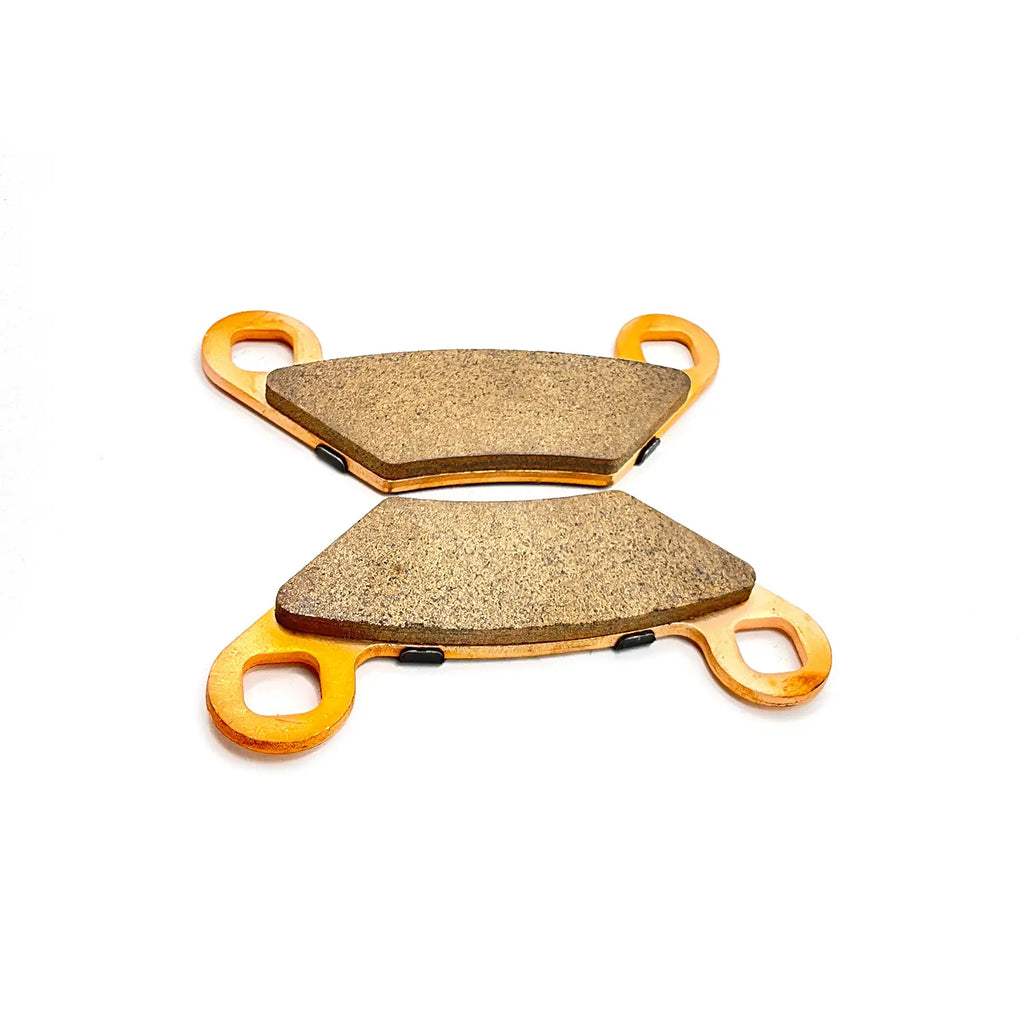 Polaris Rear Dual Input Brake Pads, #2204088