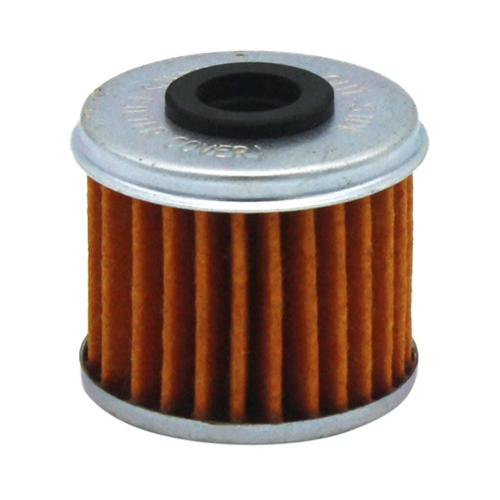 Polaris Air Filter with O-Ring Assembly #2521231
