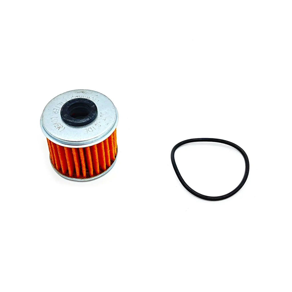 Polaris Air Filter with O-Ring Assembly #2521231