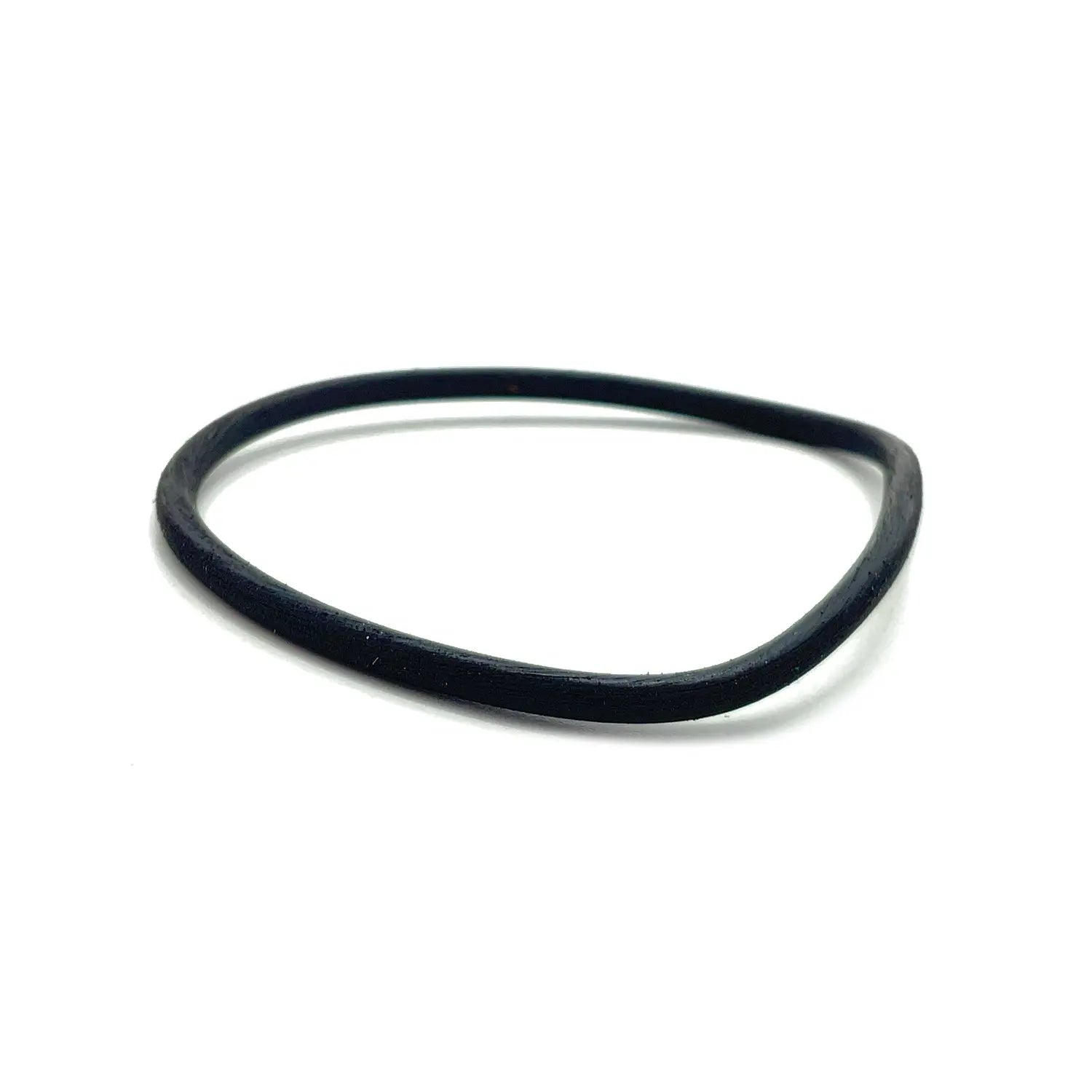 Polaris Air Filter with O-Ring Assembly #2521231