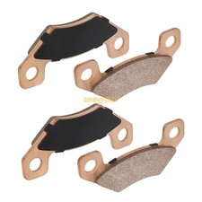 Can-Am Rear Brake Pad Lit - Left and Right #703501200